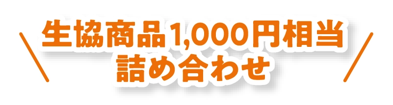 生協商品1000円相当の詰め合わせ