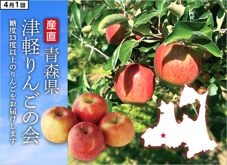 今週の特集