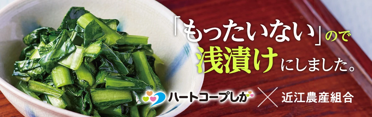 もったいないので浅漬にしました