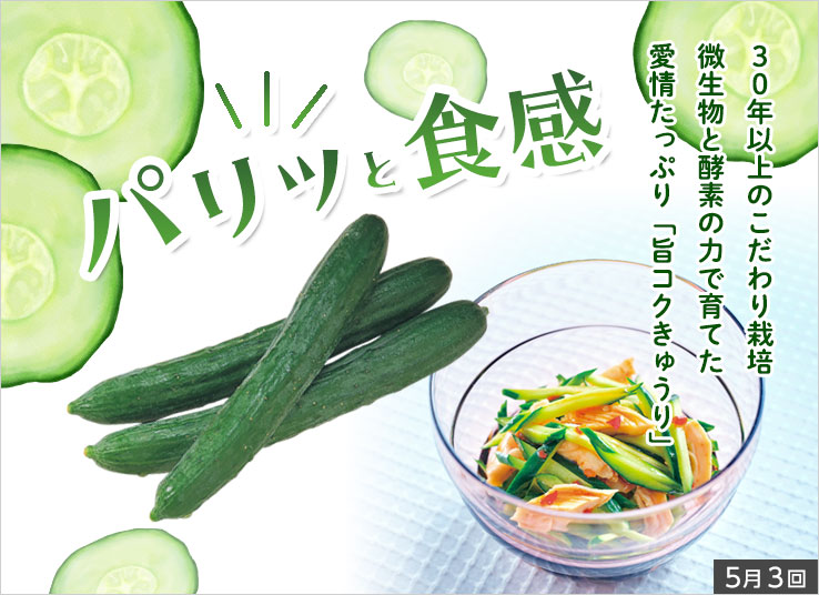 今週の特集