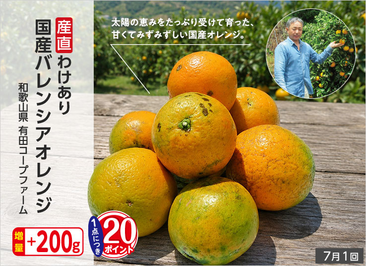 今週の特集