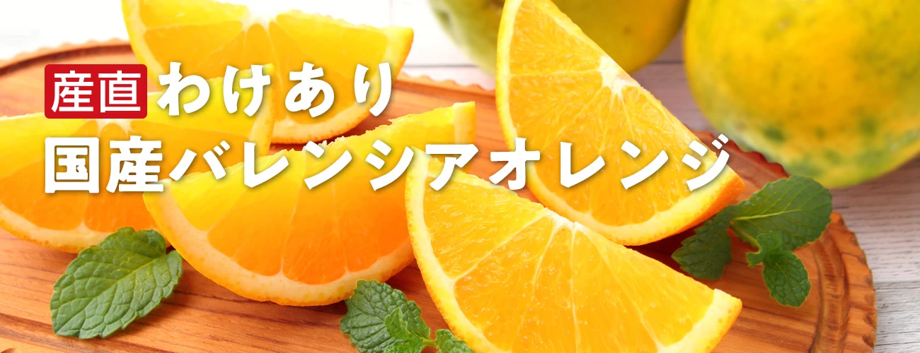 産直わけあり国産バレンシアオレンジ（有田コープファーム）