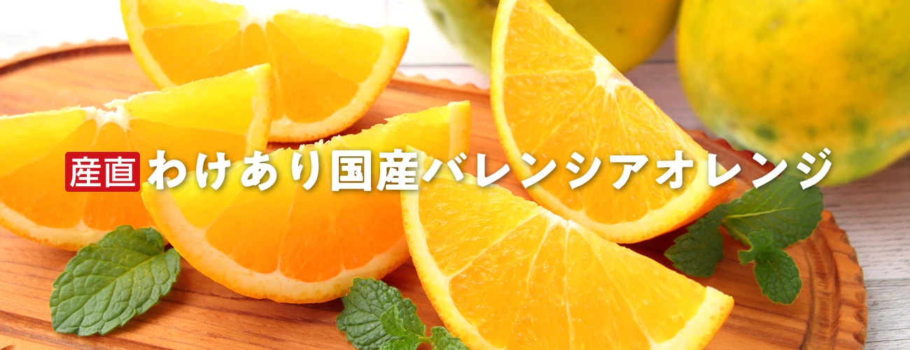 産直わけあり国産バレンシアオレンジ（有田コープファーム）