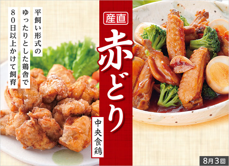 今週の特集