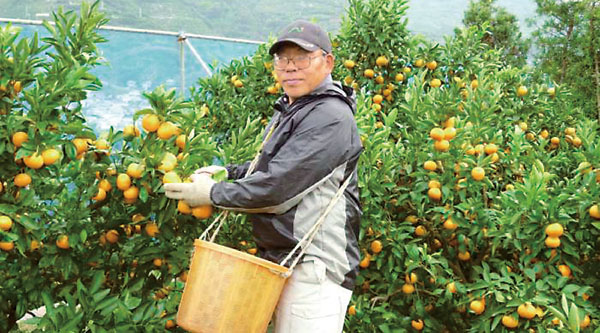 生産者の舛本さん