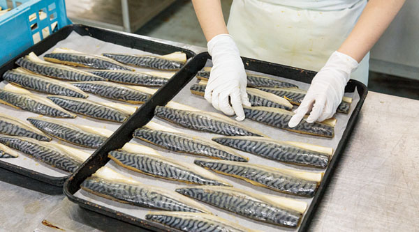 鯖加工の様子