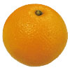 柑橘写真