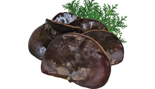 料理に使用した商品