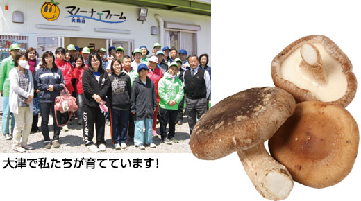 料理に使用した商品