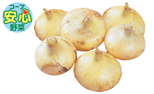 料理に使用した商品