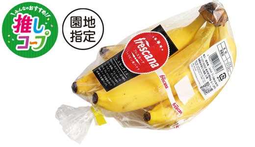 料理に使用した商品