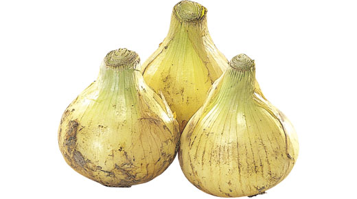 料理に使用した商品