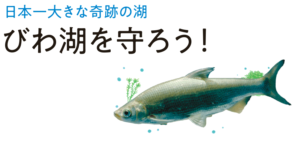 日本一大きな奇跡の湖　びわ湖を守ろう！