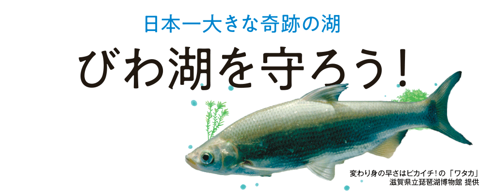 日本一大きな奇跡の湖　びわ湖を守ろう！