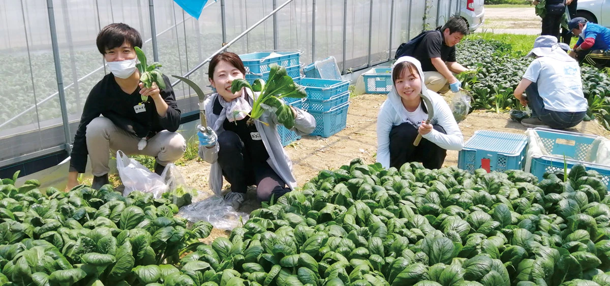 援農隊のようす