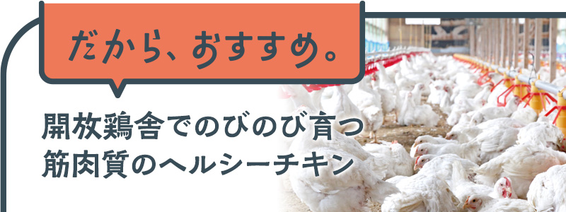 開放鶏舎でのびのび育つ筋肉質のヘルシーチキン