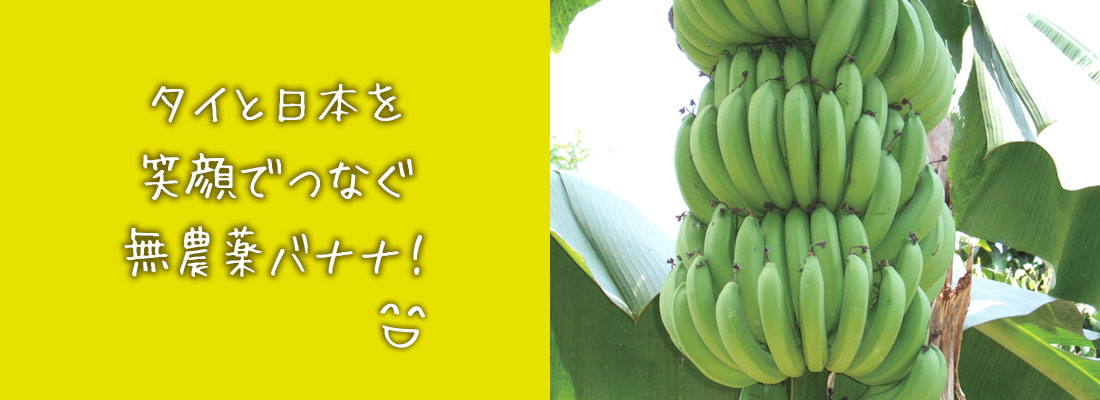 タイと日本を笑顔でつなぐ農薬不使用バナナ！